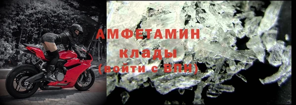 стаф Пересвет