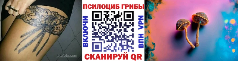 Галлюциногенные грибы Psilocybe  Калач-на-Дону 